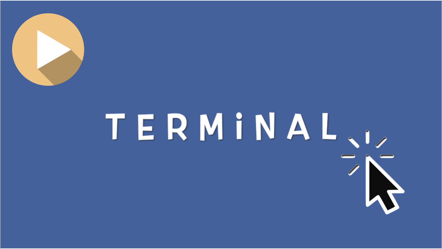 WATCH Terminal Introduction VIDEO
